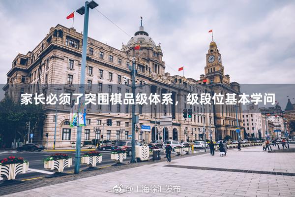 家长必须了突围棋品级体系，级段位基本学问