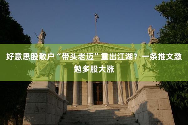 好意思股散户“带头老迈”重出江湖？一条推文激勉多股大涨
