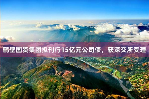 鹤壁国资集团拟刊行15亿元公司债，获深交所受理