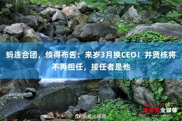 蚂连合团，倏得布告：来岁3月换CEO！井贤栋将不再担任，接任者是他