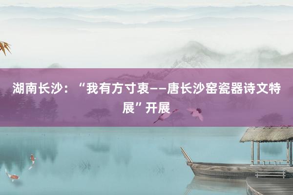 湖南长沙：“我有方寸衷——唐长沙窑瓷器诗文特展”开展