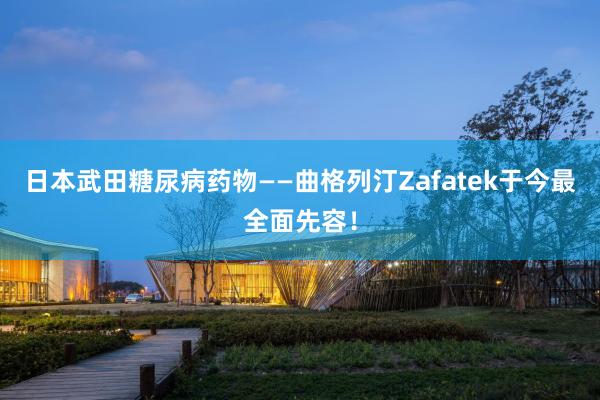 日本武田糖尿病药物——曲格列汀Zafatek于今最全面先容！