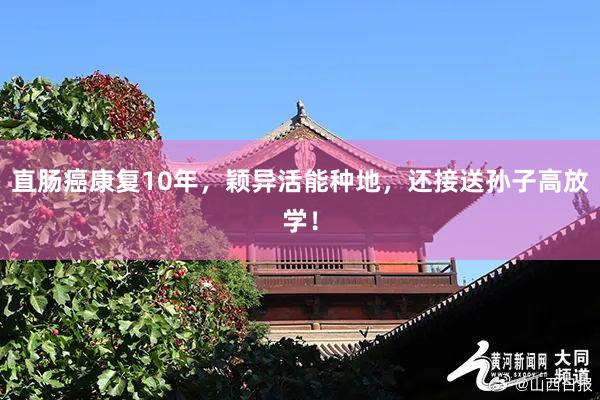 直肠癌康复10年，颖异活能种地，还接送孙子高放学！